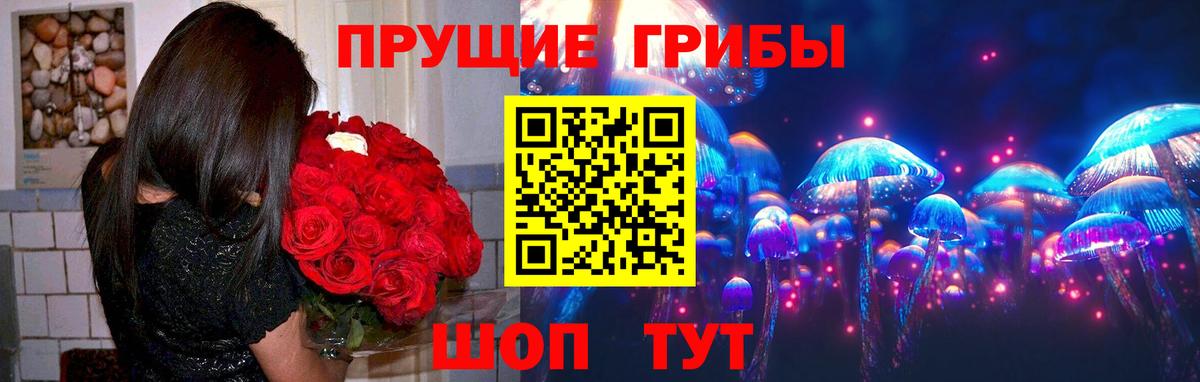 Отрадное  Галлюциногенные грибы прущие грибы  Вход с VPN 